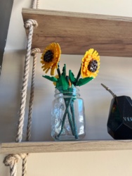 3b3d5cad-ba2d-4140-9f55-507c90cb9e6e