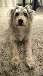 1fca500f-c95e-4b6f-afc9-9a10e8bf9a65