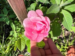 073b7091-6e9a-4eb1-a5f8-6572306e065d