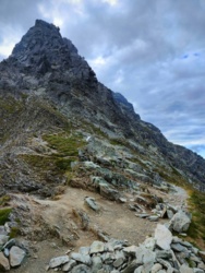 d7da4f91-bbeb-4a68-b711-6b828830a2c4