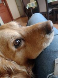 b371eee9-7184-4754-8189-b0532f20534a