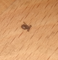 51f55efc-d32f-4b1b-a4d1-c257c8599687