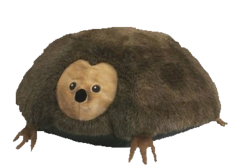 5ce6e7ec-7e19-472d-b67b-31a0911dca49