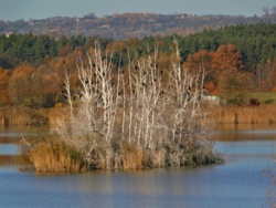 3dd8bf72-466f-4dc6-9bb3-7b1681d515f8