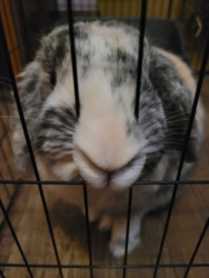 d8164e74-995a-42f4-97a4-4b16d9f9bb5b