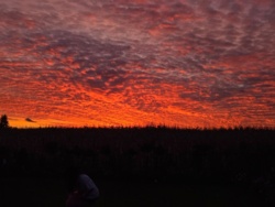 470ef028-f86f-4aa1-a120-97f375b034fe