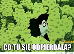 f5d2a885-726b-4b28-bc0d-03ee180647c9