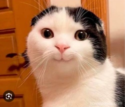 eb4cb162-23ca-4596-aedc-c56abf4de0a8