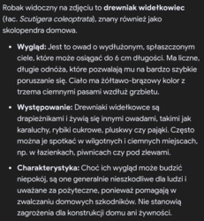 ef5ab5b7-d03c-43c6-9dd8-f181fc8f5a9e