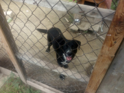 18539a49-ddbe-4094-850a-2ff8797b4484