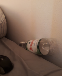 5dc739f8-1787-4330-8e6b-bd138636abda