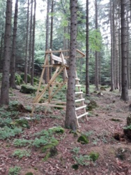 2e92c52e-8820-4a5b-8e32-895c7953b8cf