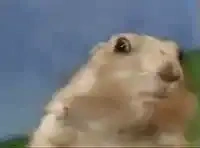 08c634de-9ec0-4098-8f8d-c182afd2c21d