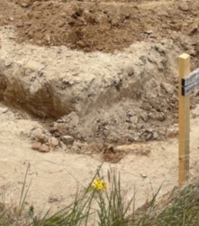 84c36f9c-b0e9-41c0-86ab-ae13a2d459d7