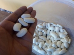 b760d7c5-92b2-4a49-93f2-fc0484771d12