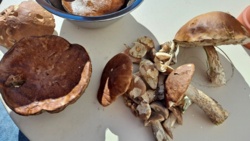 68a831ab-d042-4931-af46-6ff9a3ec0120