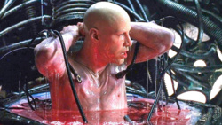 b9371fd0-c4f9-4841-a2e1-a242861ba14a