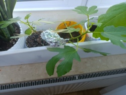 3b0d1069-8178-4678-8c22-7edd09c76320