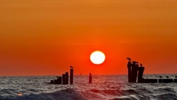 c6b3c6ef-e422-4ed8-8dd1-167579926d54