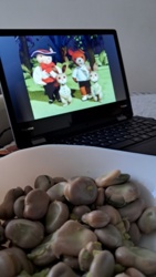 f250b4cf-9c6f-40ba-af1d-715aa598c72f