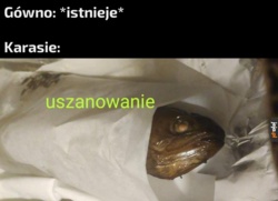 8f543dab-ad2c-4dde-acb6-11ad8dd34dda