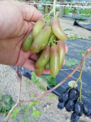 d10c2ffc-e3ec-4ddf-8da5-46acdf1f92cc