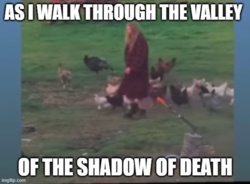 ae9672ef-10b3-462f-aead-25d9296eedd8