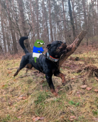 6dcf3f84-2090-4bf1-aae7-6191feca7c08