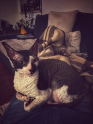 a3257622-3790-43d6-8ab3-beb29c1b6fb5