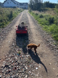 4dbf2f05-7145-4840-96ab-2161750bee4b