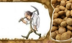 4bd17f25-accd-4ccd-91da-d0cee7e7956f