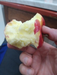 22bc5746-fe26-4786-8318-9cb9311d05ba