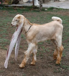 0731f5ca-7c27-4910-b32c-f6d1492c6e57