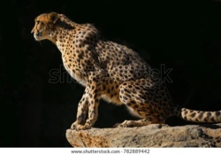 64020ff5-2a15-42ec-9755-4ca09d40ef7f