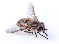 c321ff6b-9b9a-48a2-b17f-88c0a01277d4