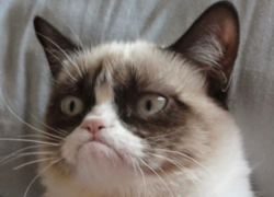 ca2592af-cef5-48c8-bde4-7aba4cea4231