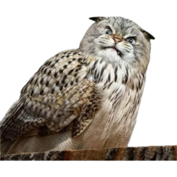 f2580828-a1c2-4602-9a65-5f8e268efdc3