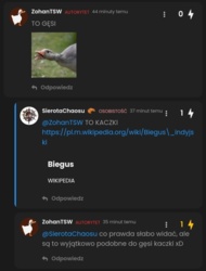 b5e2b746-77f9-4053-8c51-13c5d31702c1