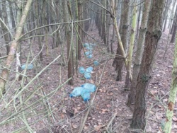 cfc94c04-1484-41b5-a2d9-604d02164f55