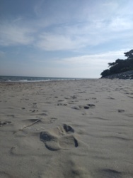 2ef8a64a-fd3d-41af-bcf2-f3816a655967