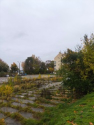 d033a006-1f45-47e2-8d84-4e43fb4897d3