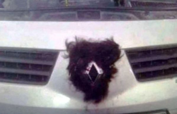 1567e392-4629-4938-981c-2996a3a9bd8c