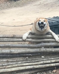 dadc8ab5-74ba-45ec-8bee-bee32c1e01c2