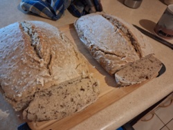 50d72387-2622-405e-9f78-1697d2171826