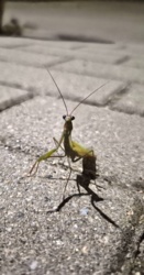 3eafa717-292d-47c4-be37-882db06f7fa6