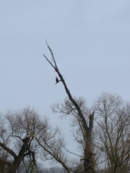 d7f14b51-abfe-4655-9747-b9f2a28a372f