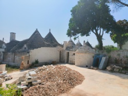 35615020-a2d6-47cd-aa3a-91fd363b6a38