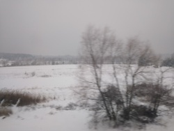 51f8ed72-067b-4233-9f18-c6e15e0daf77