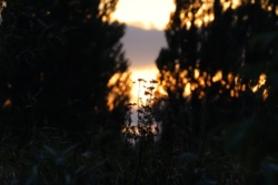 1a8e6225-cae4-488a-91f1-54a0b12440bd