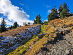 673ce217-94da-4f0d-9e6f-7786d76f203d